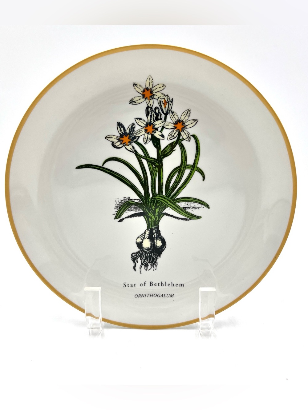 Neiman Marcus Botanical Plate Collectible 8” Decorative Wall Plate